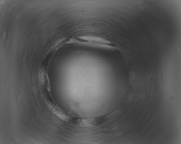 X0000085060188200703261215