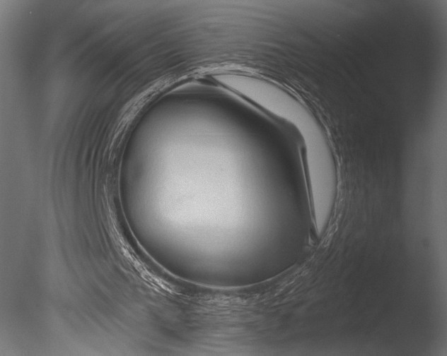 X0000085060193200703261214