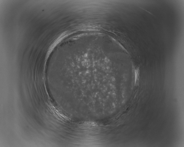 X0000085060195200703261214