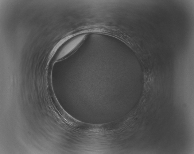 X0000085060200200703261214