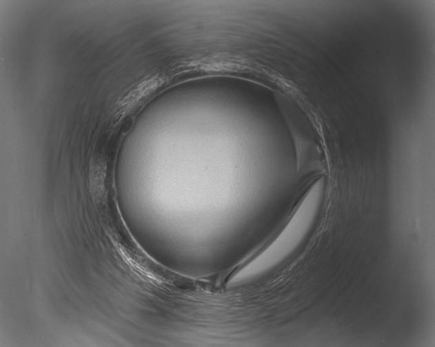 X0000085060201200703261214