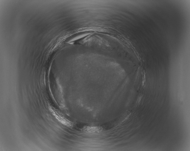X0000085060205200703261214