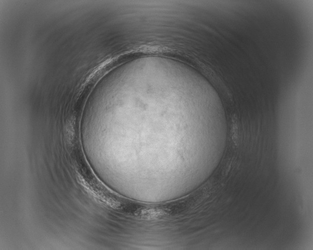 X0000085060208200703261213