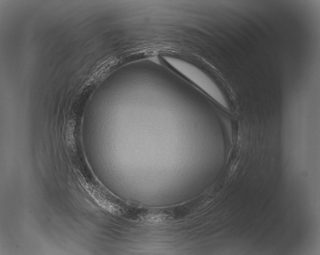X0000085060209200703261213