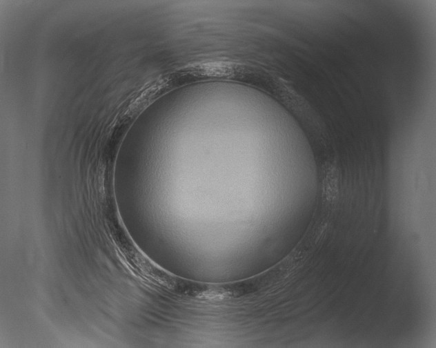 X0000085060213200703261213