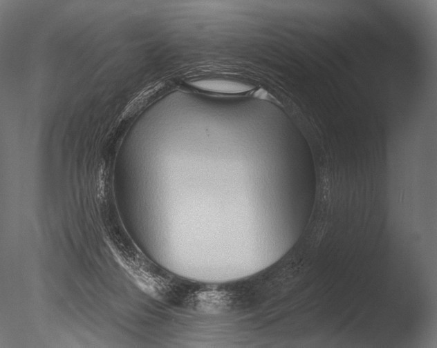 X0000085060216200703261213