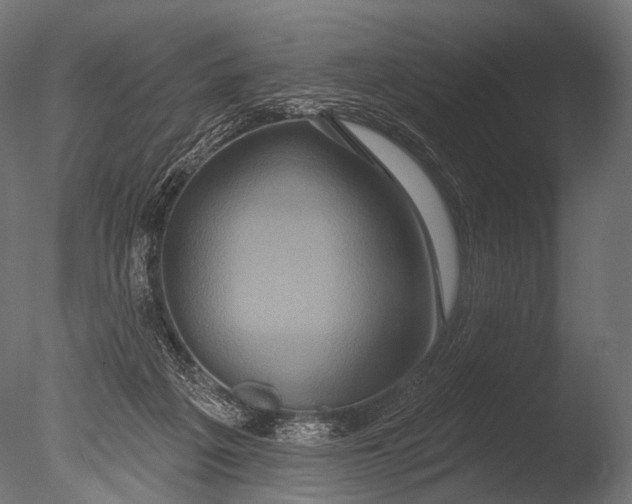 X0000085060217200703261213