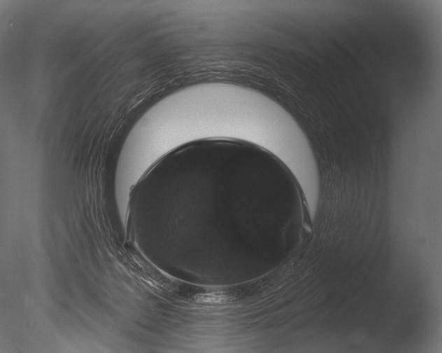 X0000085060219200703261213