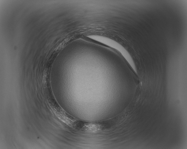X0000085060221200703261213