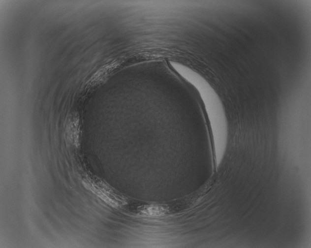 X0000085060223200703261213