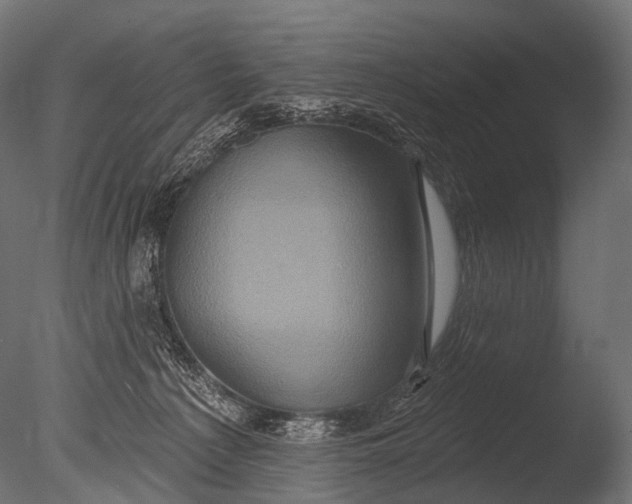 X0000085060225200703261213
