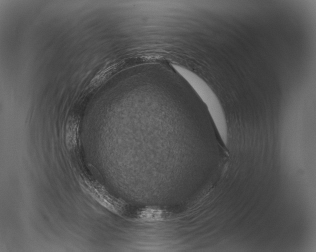 X0000085060227200703261213