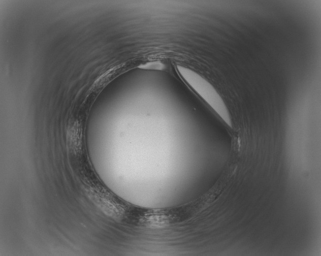X0000085060228200703261213