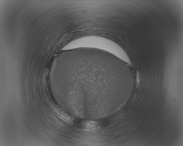 X0000085060229200703261213