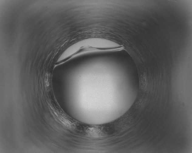 X0000085060232200703261213