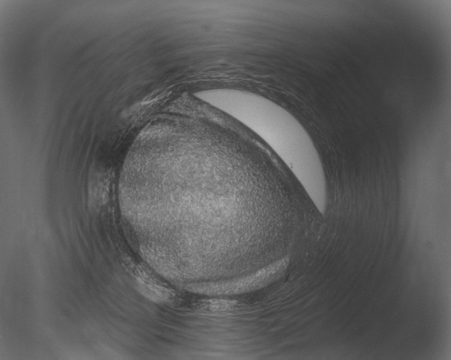 X0000085060233200703261213