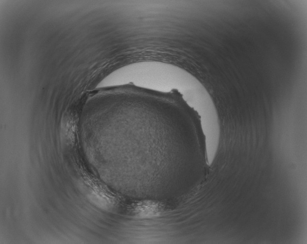 X0000085060235200703261213