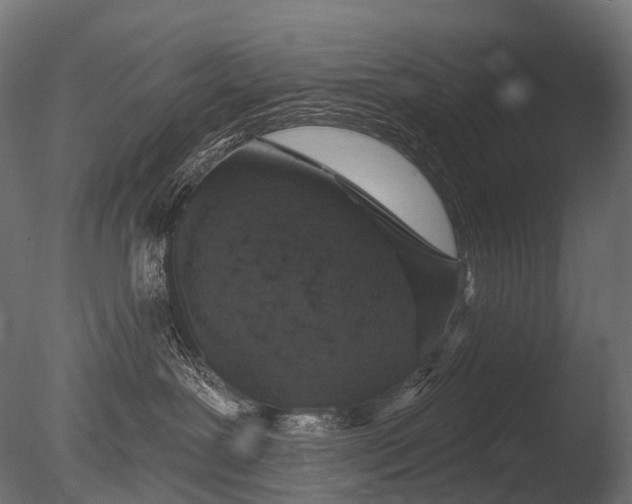 X0000085060239200703261213