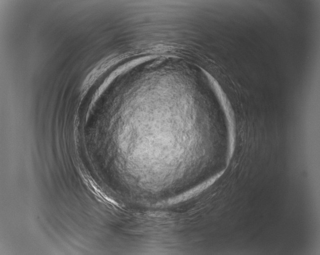 X0000085060242200703261212