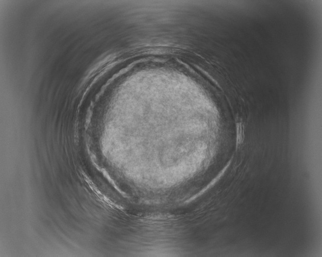 X0000085060243200703261212