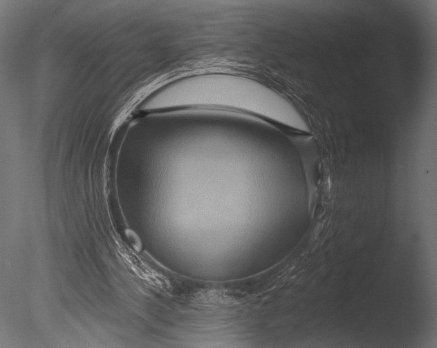 X0000085060244200703261212
