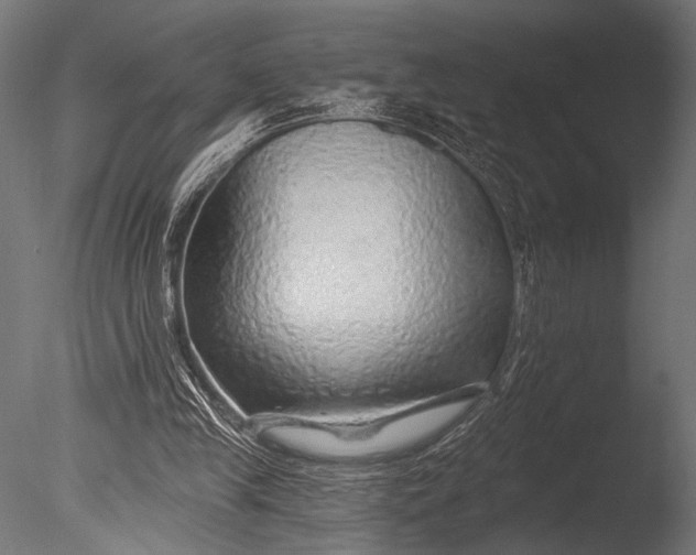 X0000085060245200703261212