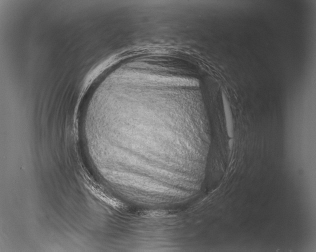 X0000085060246200703261212