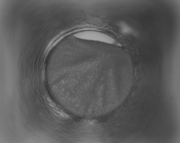 X0000085060247200703261212