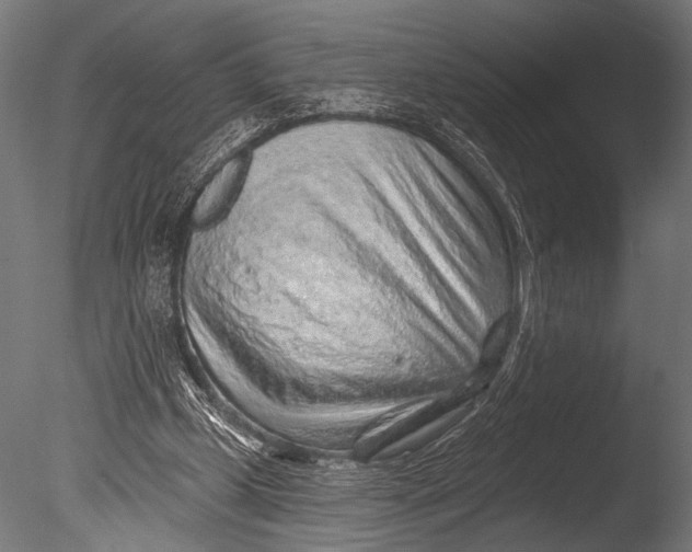 X0000085060249200703261212