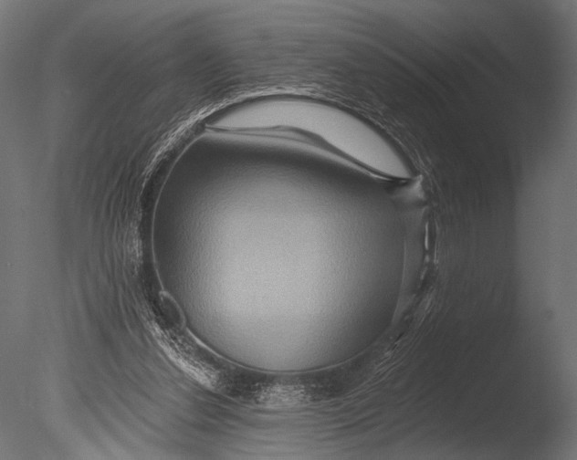 X0000085060252200703261212