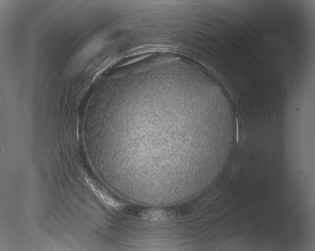 X0000085060253200703261212