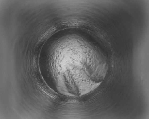X0000085060258200703261212
