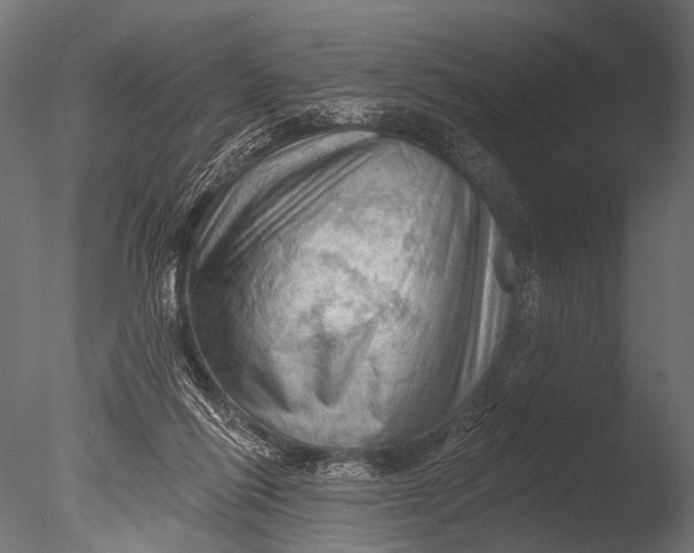 X0000085060262200703261212