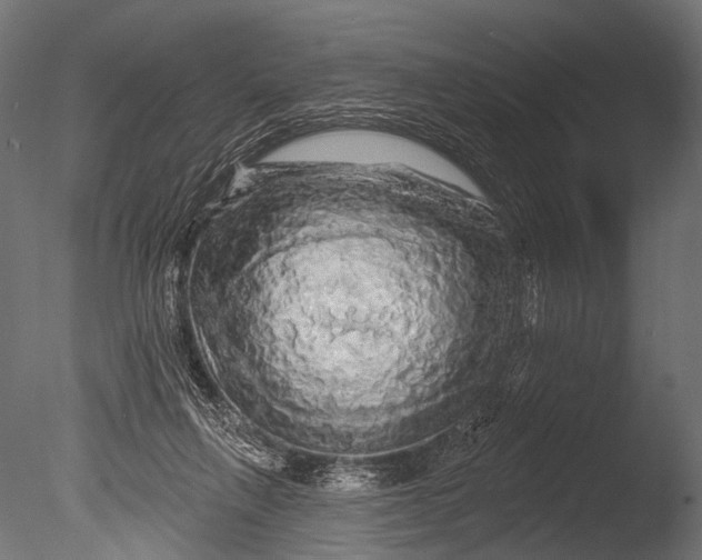 X0000085060263200703261212
