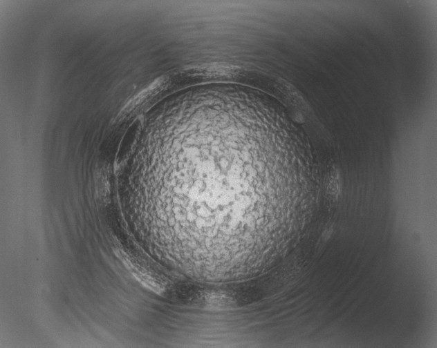X0000085060264200703261213