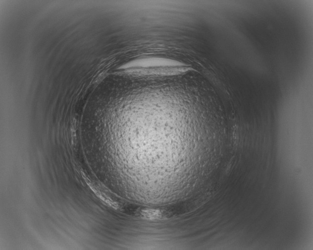 X0000085060265200703261213