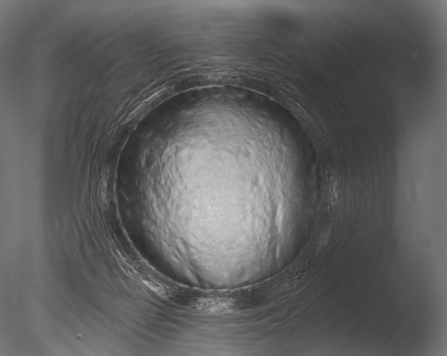 X0000085060266200703261213
