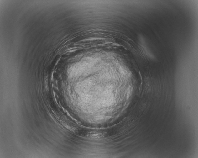 X0000085060267200703261213