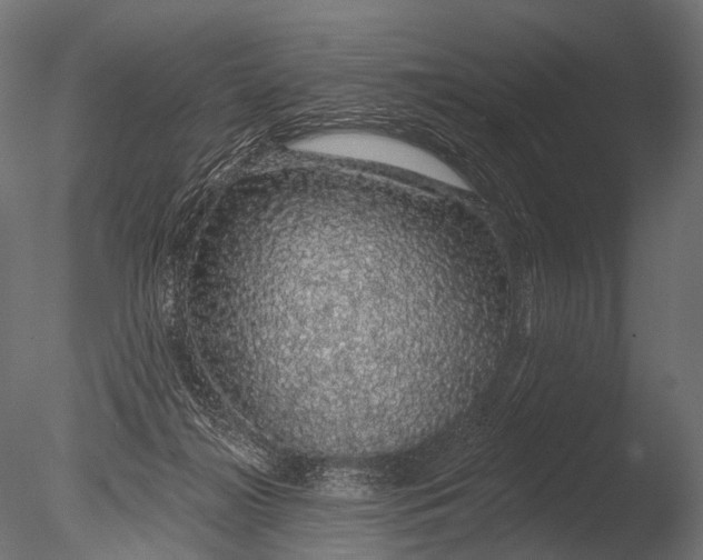 X0000085060268200703261213