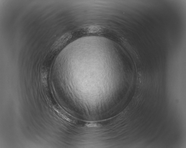 X0000085060269200703261213