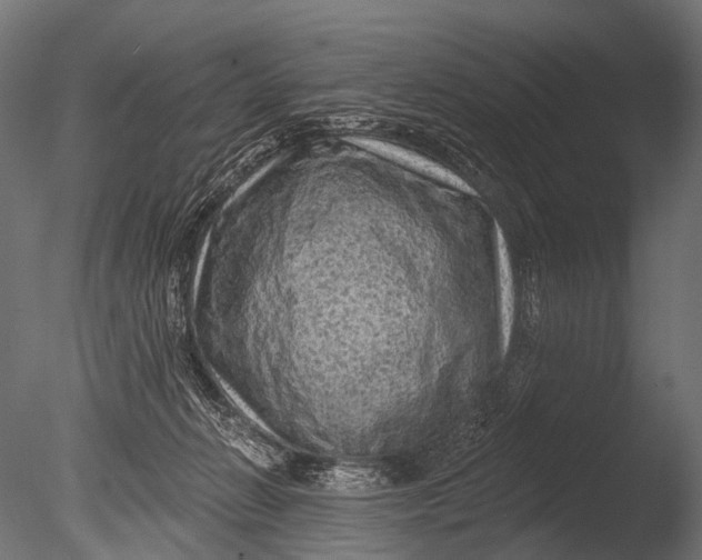 X0000085060270200703261213