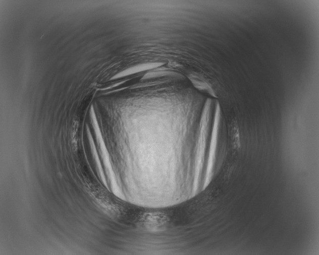 X0000085060275200703261213