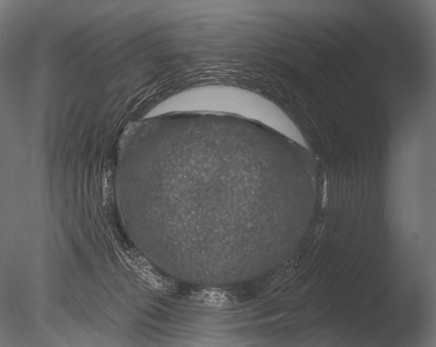 X0000085060276200703261213