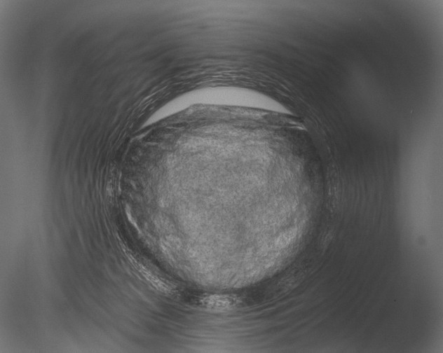 X0000085060277200703261213