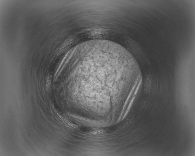 X0000085060278200703261213