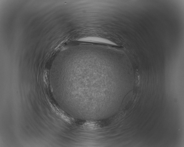 X0000085060280200703261213