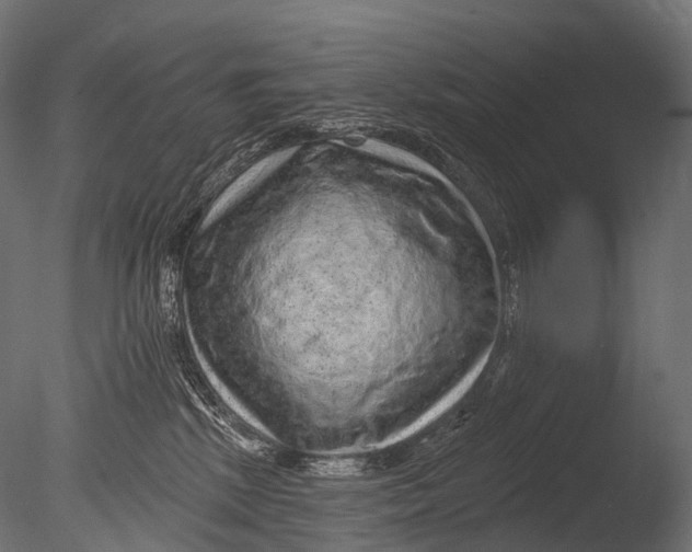 X0000085060281200703261213