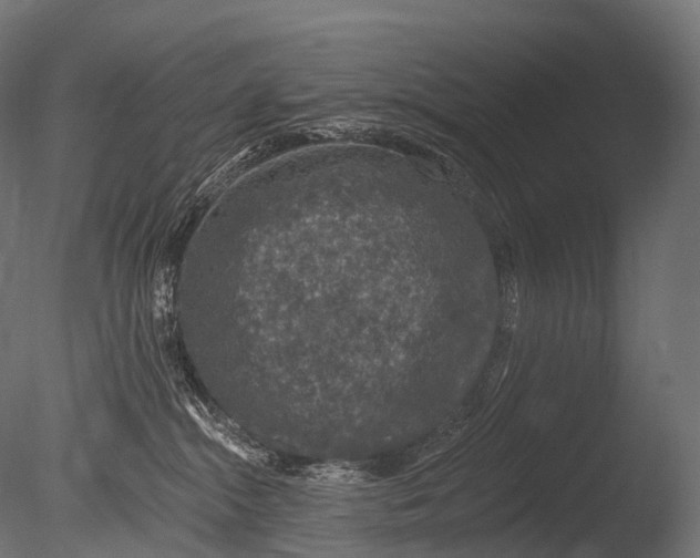 X0000085060284200703261213
