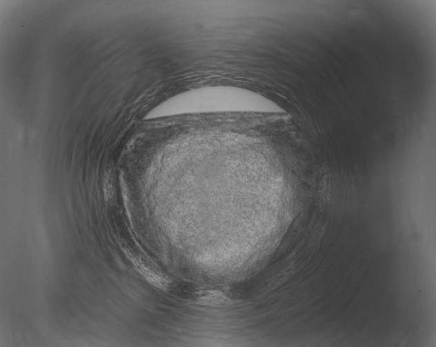 X0000085060285200703261213