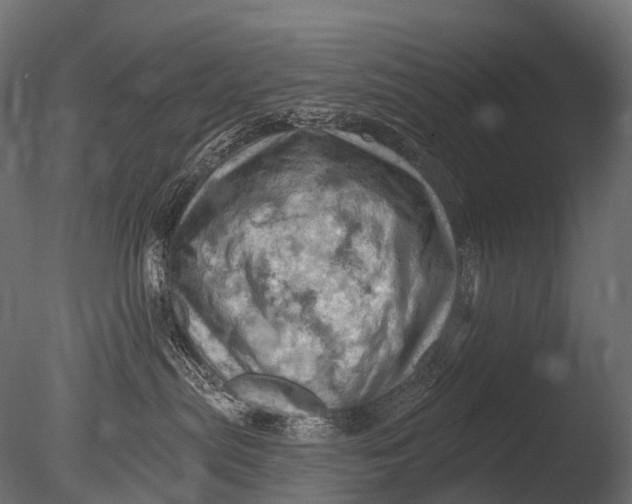 X0000085060287200703261213